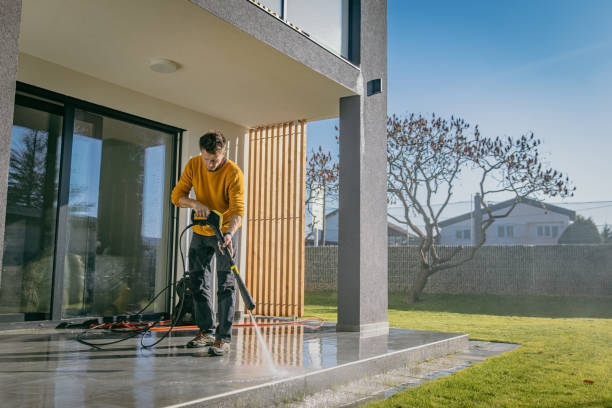 Best Dumpster Area Cleaning  in Floral Park, NY